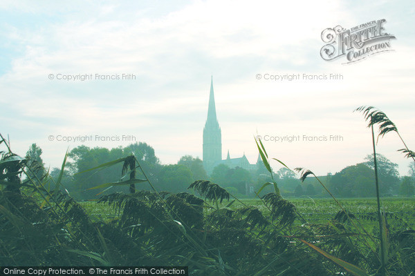Photo of Salisbury, Cathedral And Water Meadows From The Town Path 2004