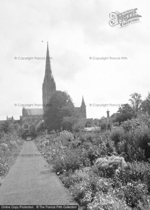 Photo of Salisbury, Cathedral From Gardens c.1950
