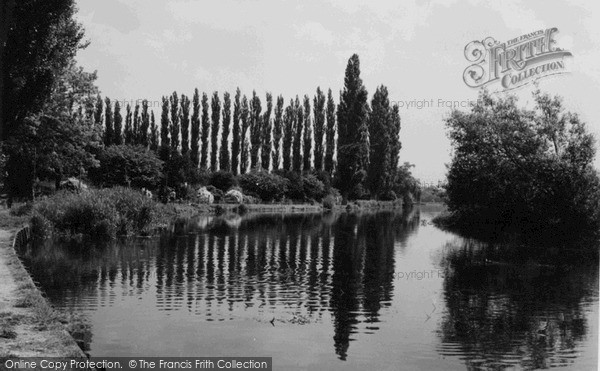 Photo of Salisbury, Riverside Walk c.1955