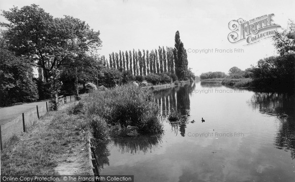 Photo of Salisbury, Riverside Walk c.1955