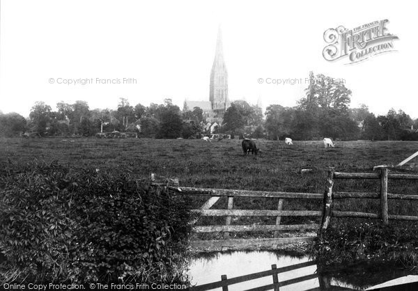 Photo of Salisbury, The Cathedral From The Meadows 1887
