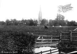 The Cathedral From The Meadows 1887, Salisbury