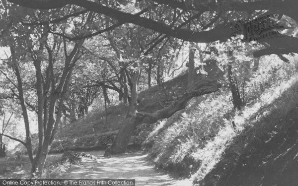 Photo of Saltburn By The Sea, A Pleasant Walk, The Gardens c.1955