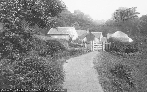 Photo of Saltburn By The Sea, Rifts Wood Mill 1891