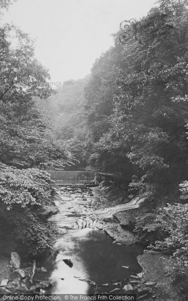 Photo of Saltburn By The Sea, Skelton Woods 1913