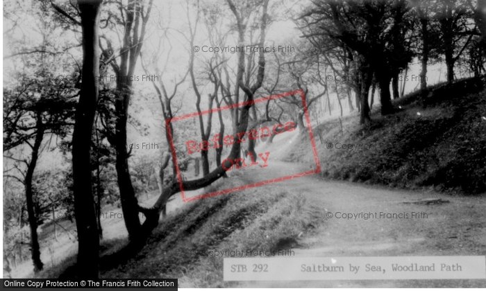 Photo of Saltburn By The Sea, Woodland Path c.1965