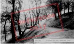 Saltburn-By-The-Sea, Woodland Path c.1965, Saltburn-By-The-Sea