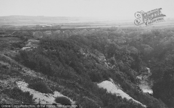 Photo of Saltburn By The Sea, Woods c.1885
