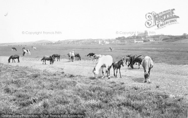 Photo of Salthouse, c.1955