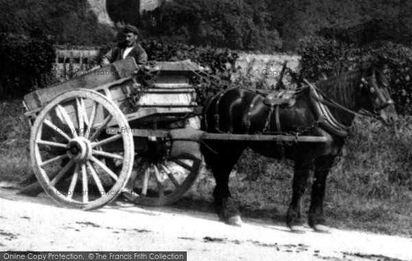 Photo of Saltwood, Horse And Cart 1902