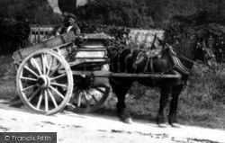 Horse And Cart 1902, Saltwood