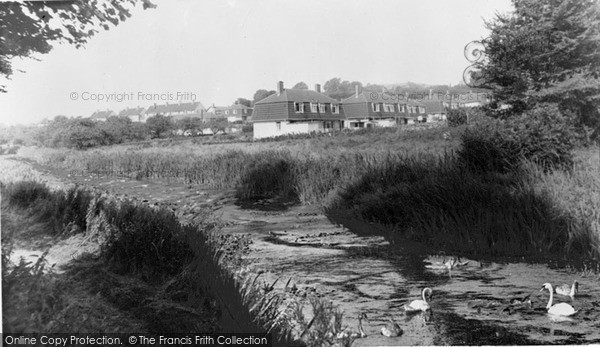 Photo of Sampford Peverell, The Canal c.1955