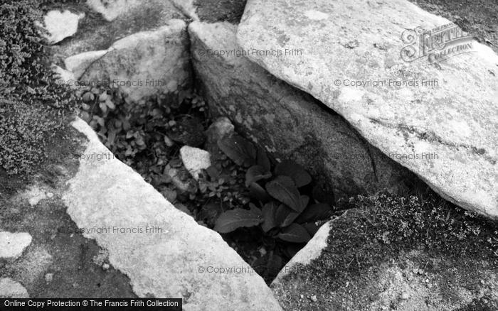 Photo of Samson, Bronze Age Cist, North Hill c.1955