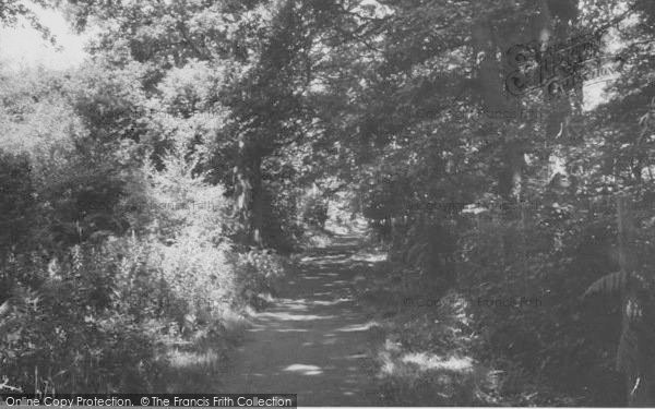 Photo of Sanderstead, King's Wood, Hamsey Green c.1960