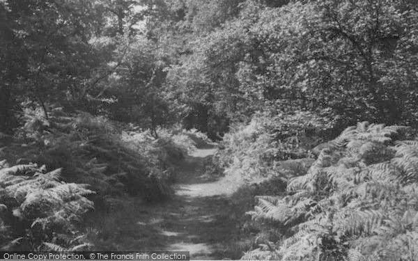 Photo of Sanderstead, King's Wood, Hamsey Green c.1960