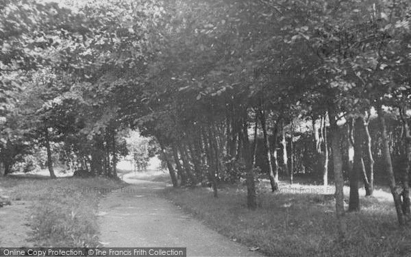 Photo of Sanderstead, The Footpath, Sanderstead Hill c.1955
