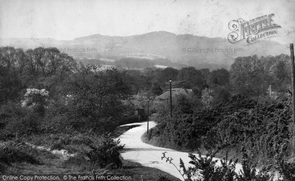Photo of Sandhills, Common 1914