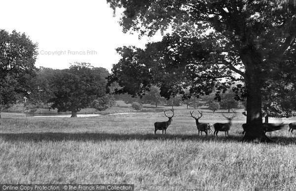 Photo of Sandringham, The Park 1891