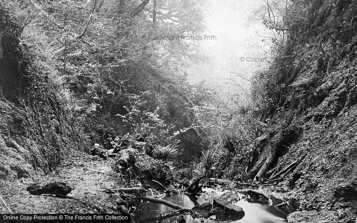 Photo of Sandsend, Mulgrave Woods c.1890