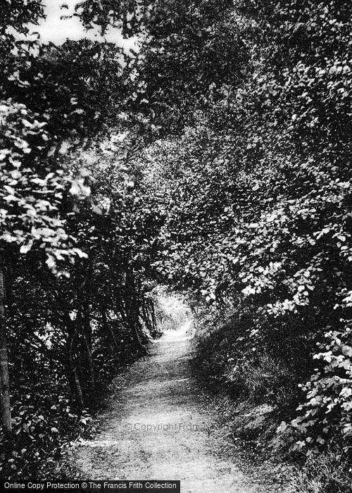 Photo of Sandy, Lovers' Walk 1925