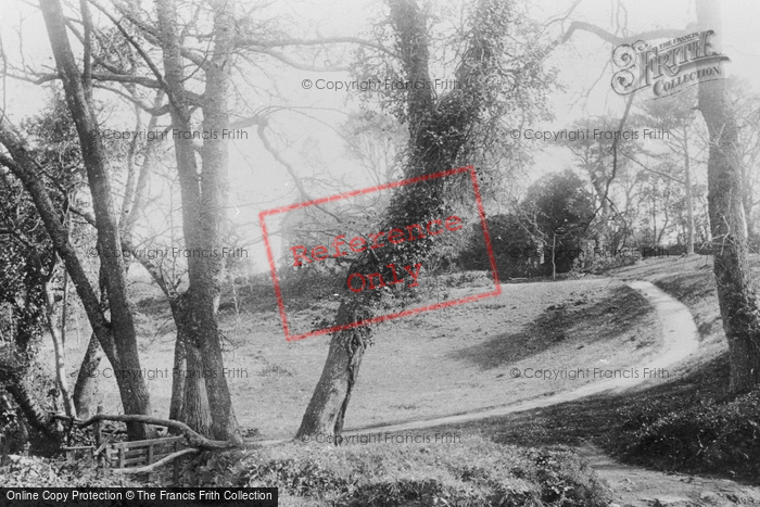 Photo of Sark, Dixcart Woods And Hotel 1894