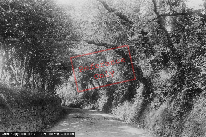 Photo of Sark, Lane Leading To Creux Harbour 1893