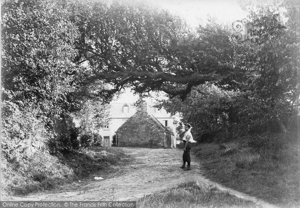 Photo of Sark, Overhanging Tree c.1910