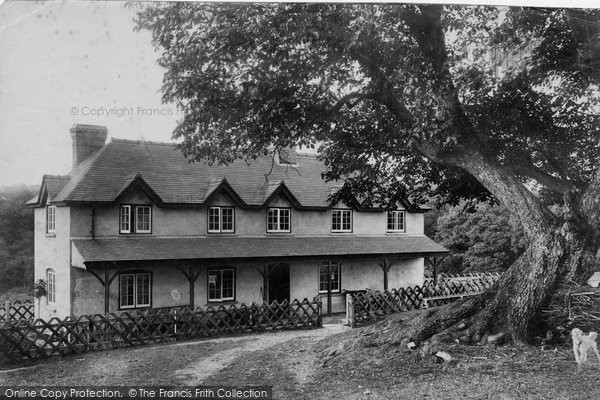 Photo of Savernake, Braydon Oak Cottage 1906