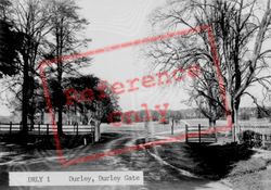 Savernake, Durley Gate c.1955, Savernake Forest