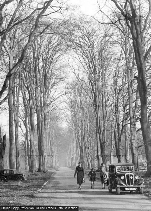 Photo of Savernake, Forest Avenue c.1955