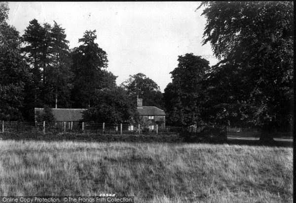 Photo of Savernake, Forest, Eight Walks Cottage 1908