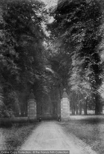 Photo of Savernake, Forest, Grand Avenue 1901