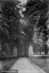 Savernake, Forest, Grand Avenue 1901, Savernake Forest