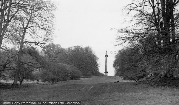 Photo of Savernake, Forest, The Column c.1955