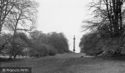 Savernake, Forest, The Column c.1955, Savernake Forest