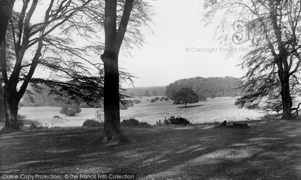 Photo of Savernake, From Leigh Hill c.1955
