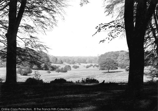Photo of Savernake, From Leigh Hill c.1955