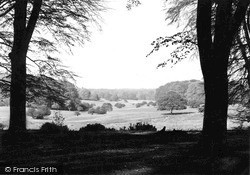Savernake, From Leigh Hill c.1955, Savernake Forest