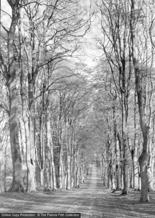 Photo of Savernake, Grand Avenue c.1950