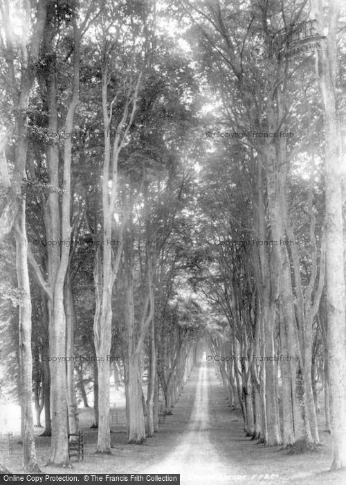 Photo of Savernake, Grand Forest Avenue 1902
