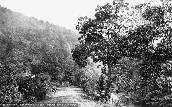 Photo of Scarborough, Forge Valley c.1876
