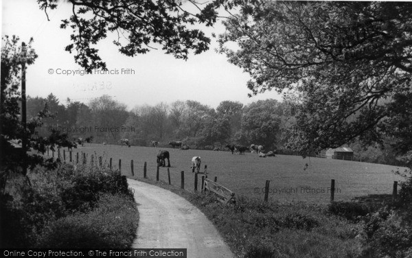 Photo of Scaynes Hill, Ham Lane c.1955