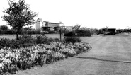 Queen's Gardens And Civic Centre c.1960, Scunthorpe