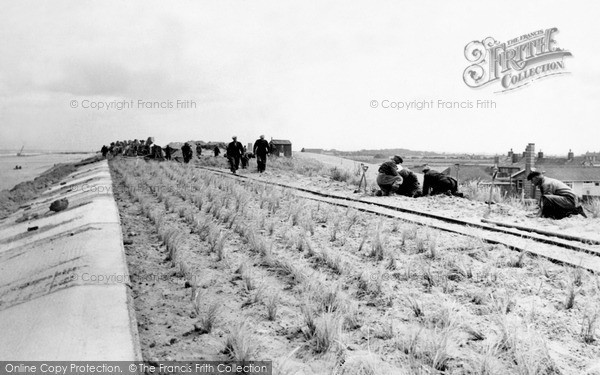 Photo of Sea Palling, The Sea Wall c.1955
