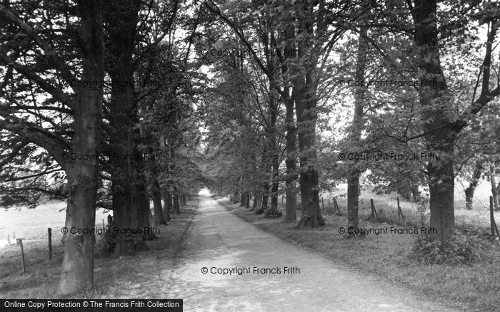 Photo of Seal, The Drive To Dorton House c.1955