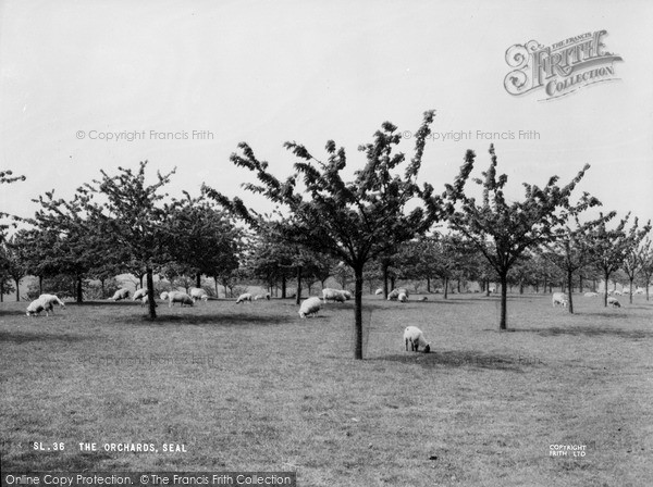 Photo of Seal, The Orchards c.1965