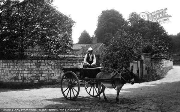 Photo of Seale, Donkey Cart 1906