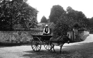 Donkey Cart 1906, Seale