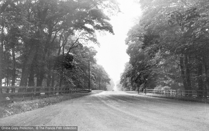 Photo of Seaton Sluice, The Avenue c.1955