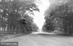 The Avenue c.1955, Seaton Sluice